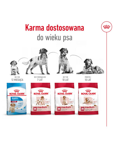 ROYAL CANIN Medium adult 7+ 10 kg sucha karma dla psów powyżej 7 roku życia, ras średnich