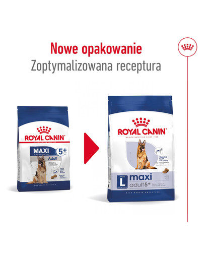 ROYAL CANIN Maxi Adult 5+ 4 kg karma sucha dla psów starszych, od 5 do 8 roku życia, ras dużych