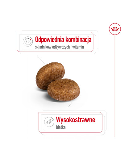 ROYAL CANIN Maxi Adult 5+ 4 kg karma sucha dla psów starszych, od 5 do 8 roku życia, ras dużych