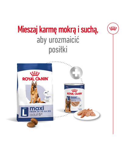 ROYAL CANIN Maxi Adult 5+ 4 kg karma sucha dla psów starszych, od 5 do 8 roku życia, ras dużych