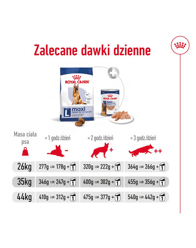 ROYAL CANIN Maxi Adult 5+ 4 kg karma sucha dla psów starszych, od 5 do 8 roku życia, ras dużych