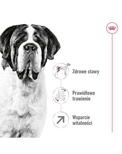 ROYAL CANIN Giant adult 15 kg + 3 kg karma sucha dla psów dorosłych, od 18/24 miesiąca życia, ras olbrzymich