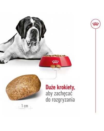 ROYAL CANIN Giant adult 15 kg + 3 kg karma sucha dla psów dorosłych, od 18/24 miesiąca życia, ras olbrzymich