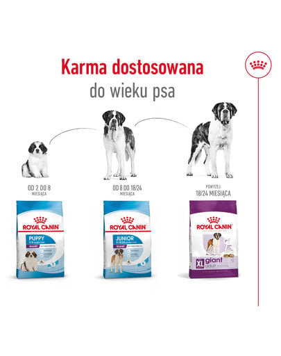 ROYAL CANIN Giant adult 15 kg + 3 kg karma sucha dla psów dorosłych, od 18/24 miesiąca życia, ras olbrzymich