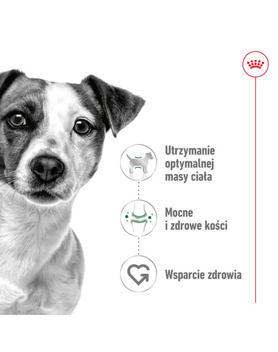 ROYAL CANIN Mini Adult mokra karma dla psów ras małych do 10 kg