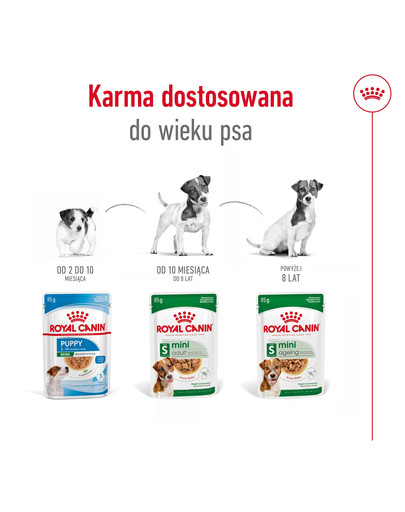 ROYAL CANIN Mini Adult karma mokra w sosie dla psów dorosłych, ras małych 85 g