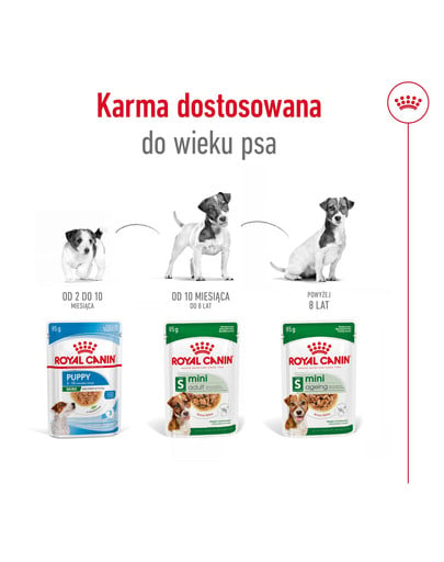 ROYAL CANIN Mini Adult mokra karma dla psów ras małych do 10 kg