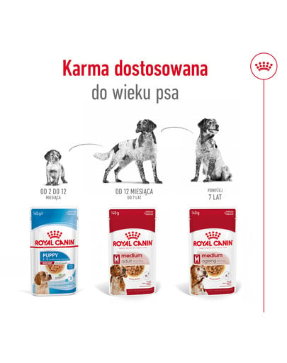 ROYAL CANIN Medium Adult karma mokra w sosie dla psów dorosłych ras średnich