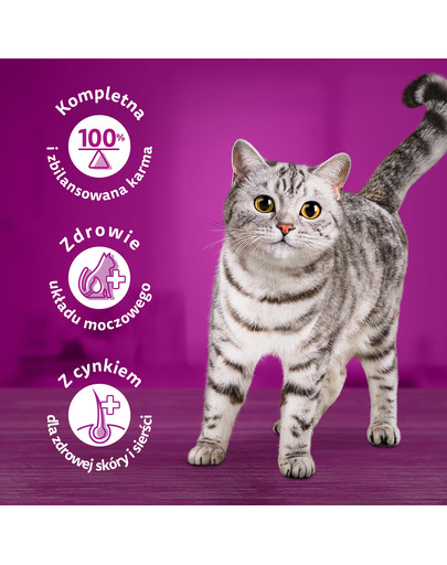 WHISKAS Adult saszetka 85 g mokra karma dla dorosłych kotów w galaretce z wołowiną i drobiem