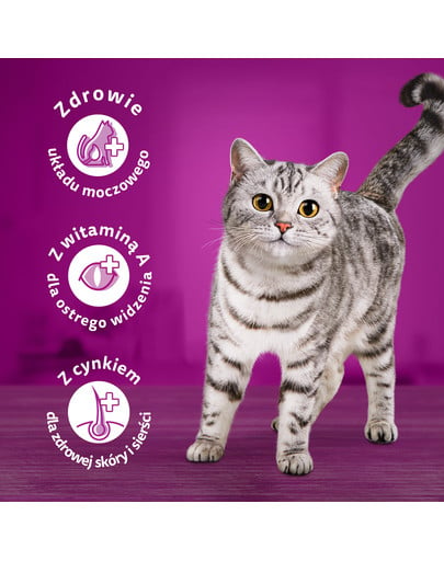 WHISKAS Adult 6x300g sucha karma dla dorosłych kotów z pyszną wołowiną