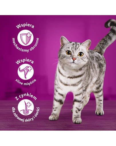 WHISKAS Senior saszetka 4x85g Drobiowa Uczta mokra karma dla starszych kotów w galaretce z: kurczakiem, indykiem