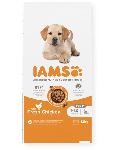 IAMS Advanced Nutrition Puppy Junior Large Breed Chicken 12 kg