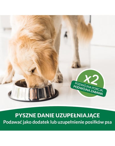 INABA Dog Twin Packs karma uzupełniająca w bulionie dla psów 2x40 g