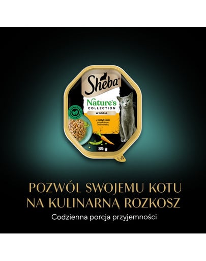 Nature's Collection 85 g w sosie z indykiem i marchewką