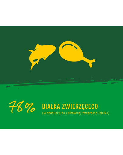 JOSERA JosiCat Crunchy Chicken 18kg z drobiem dla dorosłych kotów