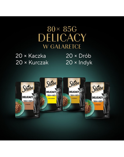 Delicacy Drobiowe smaki saszetki w galaretce 80x85g kaczka, kurczak, drób