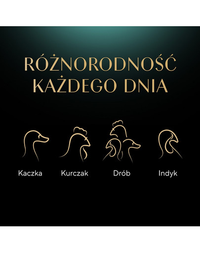 Delicacy Drobiowe smaki saszetki w galaretce 80x85g kaczka, kurczak, drób