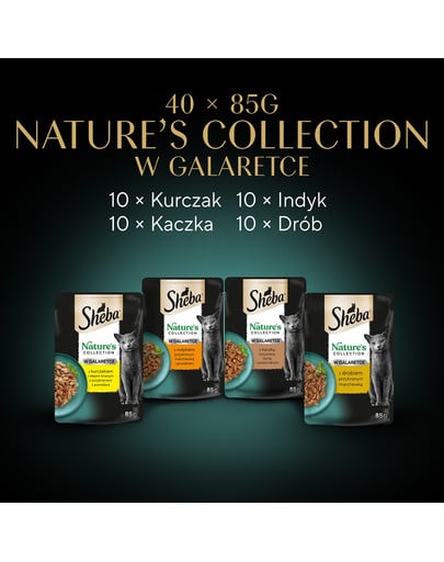 SHEBA Nature’s Collection Drobiowe Smaki 40x85 g w galaretce kawałki z kurczakiem, indykiem, kaczką, drobiem dla dorosłych kotów