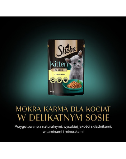 SHEBA Kitten 85g z kurczakiem w sosie dla kociąt