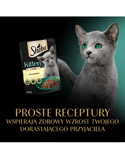 SHEBA Kitten 85g z kurczakiem w sosie dla kociąt