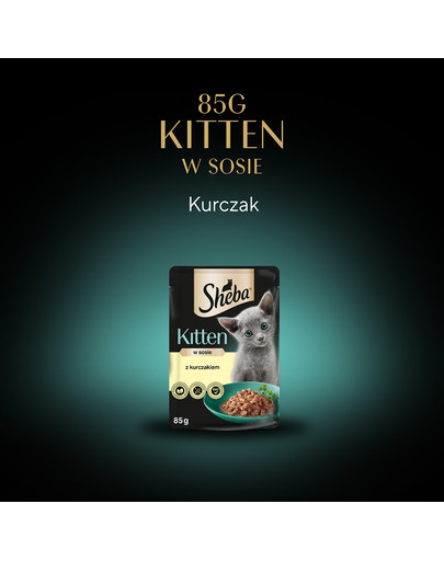 SHEBA Kitten 85g z kurczakiem w sosie dla kociąt