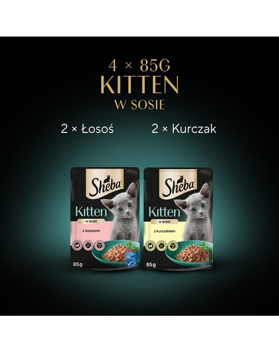 SHEBA Kitten Wybór smaków w sosie 4x85g mokra karma z łososiem i kurczakiem dla kociąt