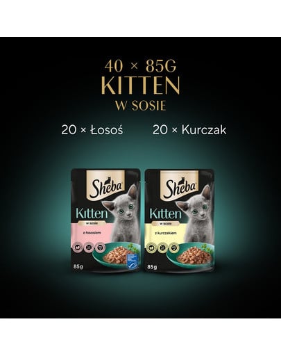 SHEBA Kitten Wybór Smaków saszetki 40x85 g w sosie kawałki z łososiem, kurczakiem dla kociąt