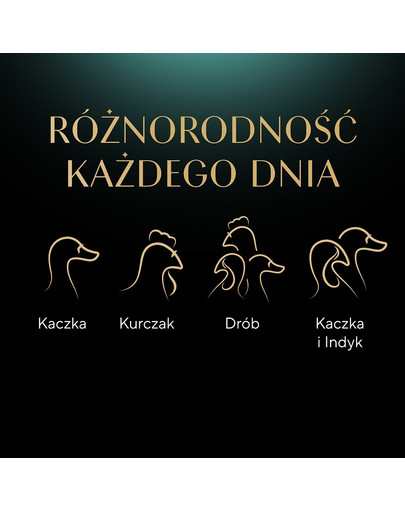 SHEBA Selection Select Slices Drobiowe Smaki saszetki 120x85 g w sosie kawałki z: kaczką, kurczakiem, drobiem, kaczką i indykiem  dla dorosłych kotów