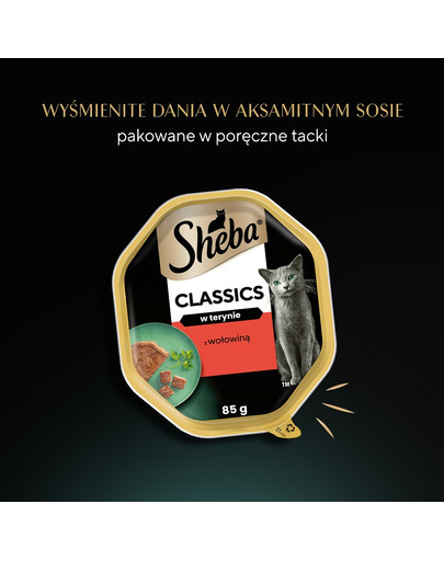 SHEBA Classics 85g z Wołowiną - mokra karma dla kotów w pasztecie