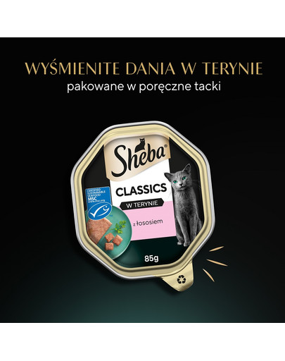 SHEBA Classics 85 g mokra karma dla kotów w pasztecie