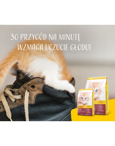 JOSERA Kitten 10 kg sucha karma dla kociąt i kotek ciężarnych lub karmiących