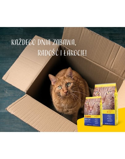 JOSERA Daily Cat 10 kg bezzbożowa karma dla dorosłych kotów