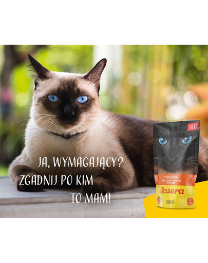 JOSERA Filet 70 g bezzbożowa mokra karma dla dorosłych kotów.