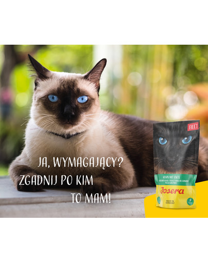 JOSERA Filet 70 g bezzbożowa mokra karma dla dorosłych kotów.