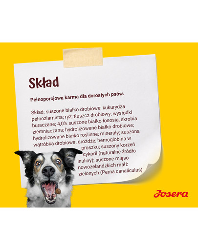 JOSERA Dog Festival 4 kg dla wybrednych psów, z pysznym sosem