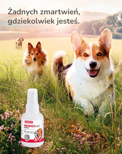 BEAPHAR Fiprotec Spray 100 ml Spray na kleszcze dla psa i kota