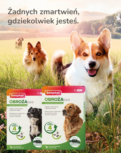 BEAPHAR Obroża ochronna M/L - dla średnich i dużych psów