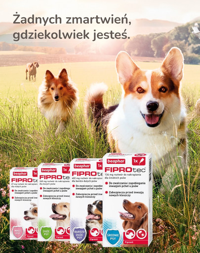BEAPHAR Fiprotec Dog M 134 mg 1 pipeta kropli p/pasożytom