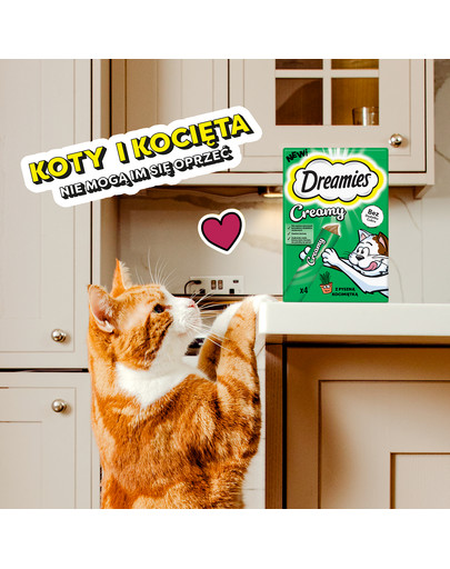 DREAMIES Creamy karma uzupełniająca z kocimiętką 4x10 g