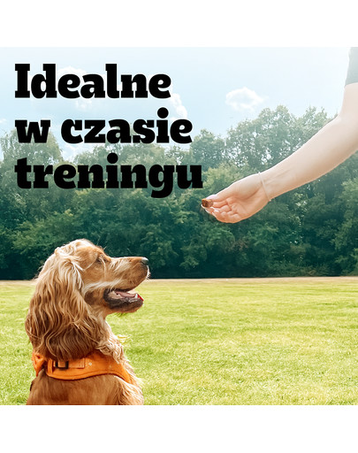 PEDIGREE Ranchos Cubes 70 g karma uzupełniająca dla dorosłych psów z wołowiną