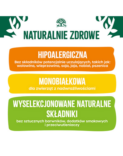 JAMES WELLBELOVED Adult 1,5 kg bezzbożowa sucha karma pełnoporcjowa dla dorosłych psów 1-7 lat bogata w indyka i warzywa