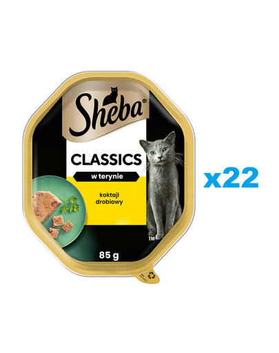 SHEBA Classics tacka 22x85 g mokra karma pełnoporcjowa dla dorosłych kotów koktajl drobiowy w terynie