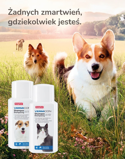 BEAPHAR Vermicon Szampon Cat 200 ml przeciwpchłowy dla kotów