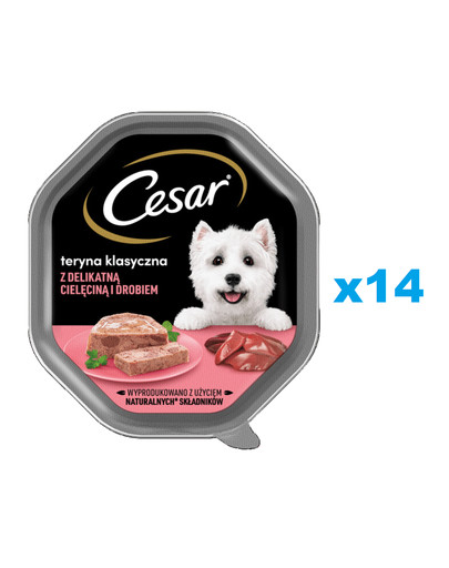 CESAR tacka 14x150 g  mokra karma pełnoporcjowa dla dorosłych psów teryna z delikatną cielęciną i drobiem
