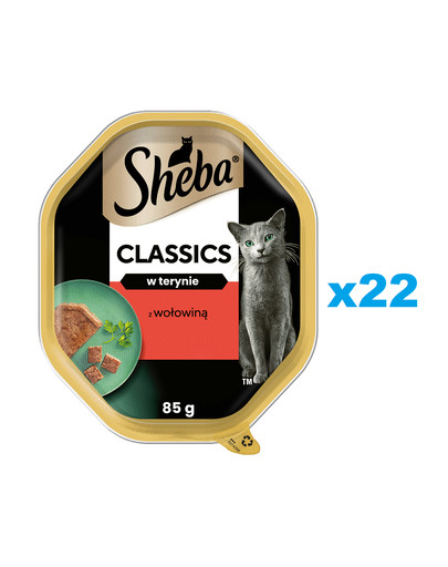 SHEBA Classics tacka 22x85 g mokra karma pełnoporcjowa dla dorosłych kotów z wołowiną w terynie