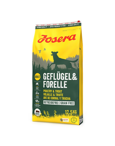 Geflügel Forelle 12,5 kg bezzbożowa karma dla aktywnych psów