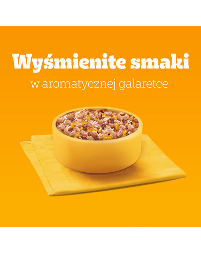 PEDIGREE Junior Wybór Smaków z ryżem saszetki 4x100 g mokra karma pełnoporcjowa dla szczeniąt, kawałki z mieszanką wołowiny i wątróbki i ryżem, z kurczakiem i ryżem, w galaretce