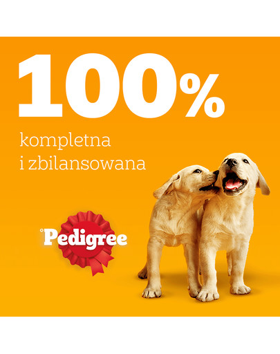 PEDIGREE Junior Wybór Smaków z ryżem saszetki 4x100 g mokra karma pełnoporcjowa dla szczeniąt, kawałki z mieszanką wołowiny i wątróbki i ryżem, z kurczakiem i ryżem, w galaretce