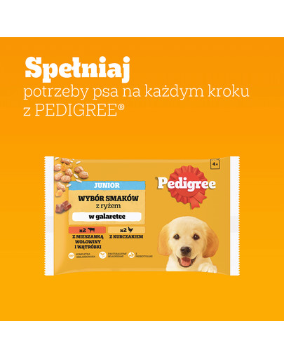 PEDIGREE Junior Wybór Smaków z ryżem saszetki 4x100 g mokra karma pełnoporcjowa dla szczeniąt, kawałki z mieszanką wołowiny i wątróbki i ryżem, z kurczakiem i ryżem, w galaretce