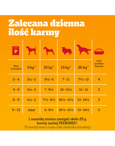 PEDIGREE Junior Wybór Smaków z ryżem saszetki 12x100 g mokra karma pełnoporcjowa dla szczeniąt, kawałki z mieszanką wołowiny i wątróbki i ryżem, z kurczakiem i ryżem, z mieszanką jagnięciny i wątróbki i ryżem, z drobiem i ryżem, w galaretce